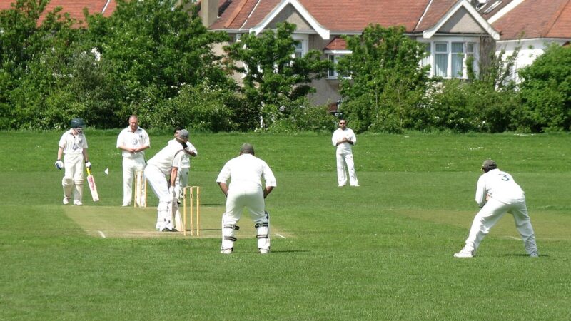 Still there are old man playing cricket
