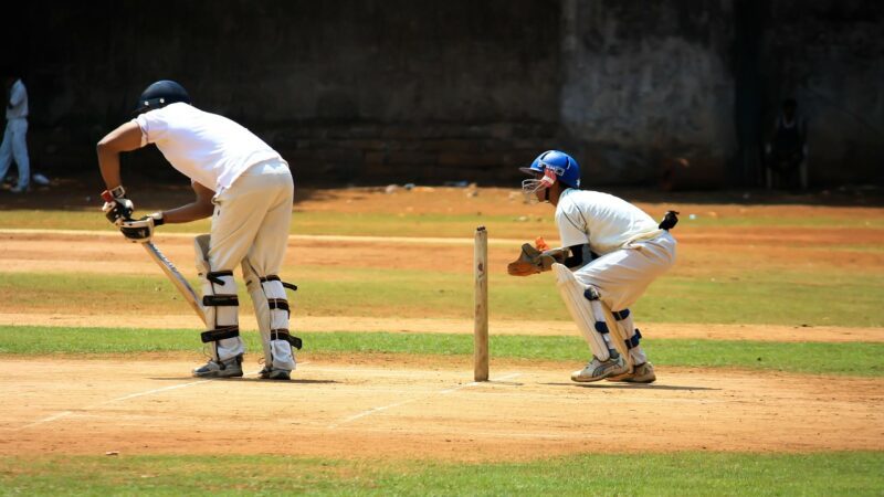 Cricket is also making family to play