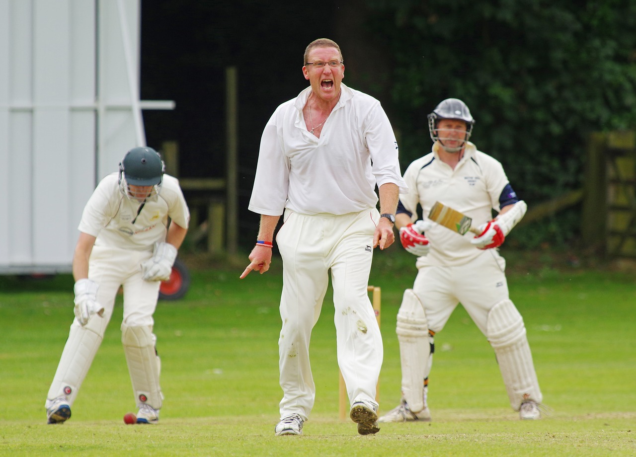 Batsman got out due to wicket keeper